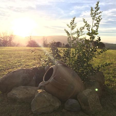 Agriturismo Fonte Di Braca Villa Campagnatico Kültér fotó